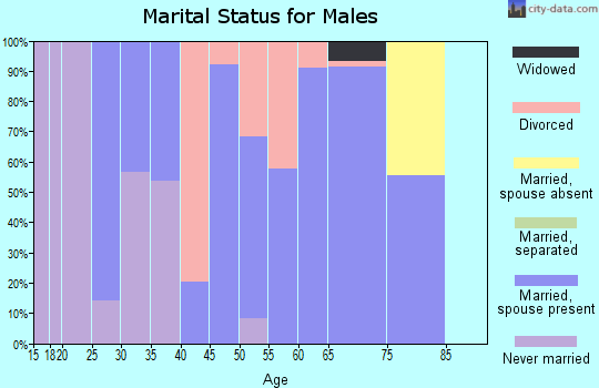 Zip code 46130 marital status for males