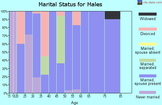 Zip code 46133 marital status for males