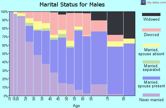 Zip code 46135 marital status for males