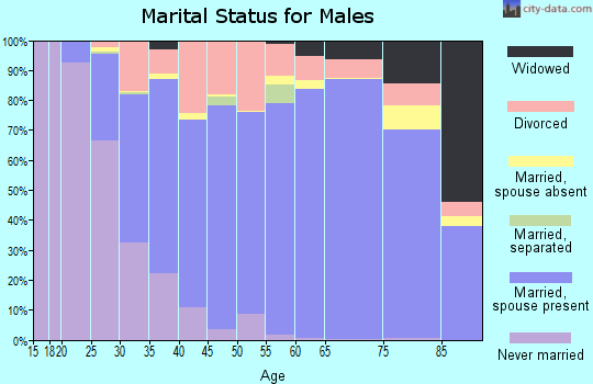Zip code 46140 marital status for males