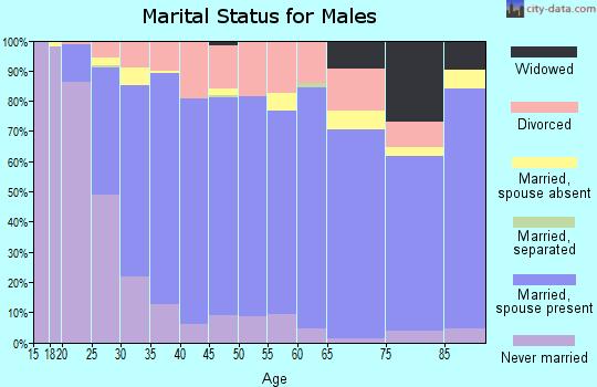 Zip code 46143 marital status for males