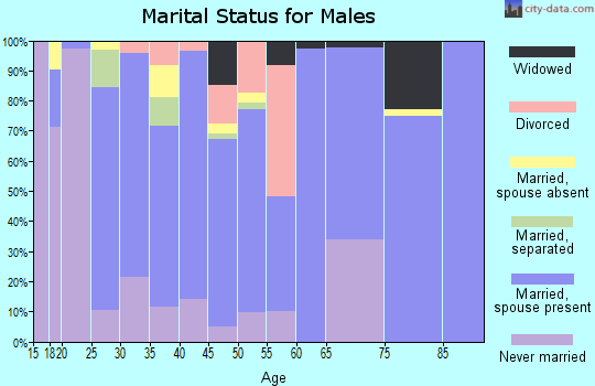 Zip code 46147 marital status for males