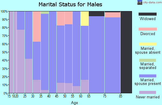 Zip code 46149 marital status for males