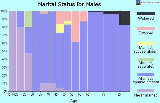 Zip code 46157 marital status for males