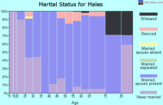 Zip code 46163 marital status for males
