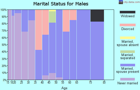 Zip code 46165 marital status for males