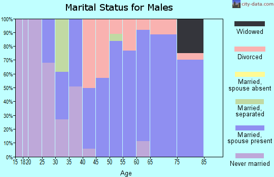 Zip code 46166 marital status for males