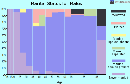 Zip code 46167 marital status for males