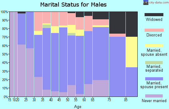 Zip code 46173 marital status for males