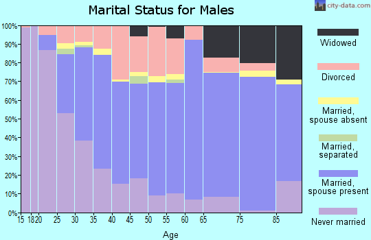 Zip code 46176 marital status for males