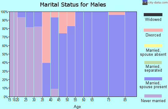 Zip code 46180 marital status for males