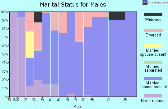 Zip code 46181 marital status for males