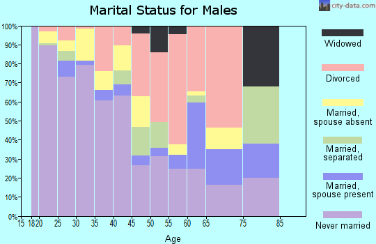 zip code 46204 marital status for males