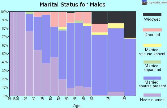 Zip code 46228 marital status for males