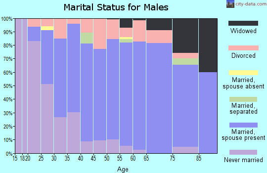 Zip code 46239 marital status for males