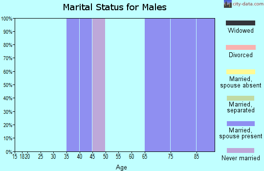 Zip code 46290 marital status for males