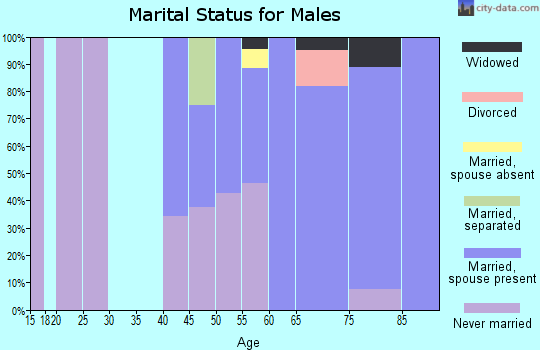 Zip code 46301 marital status for males