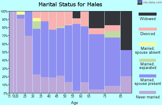 Zip code 46303 marital status for males