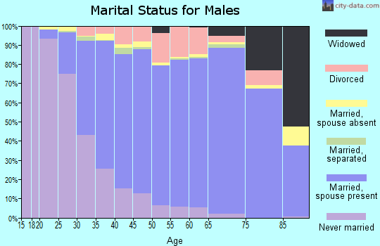 Zip code 46307 marital status for males