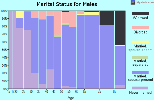 Zip code 46310 marital status for males
