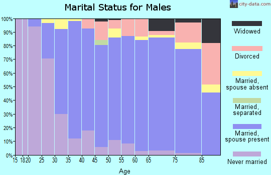 Zip code 46311 marital status for males