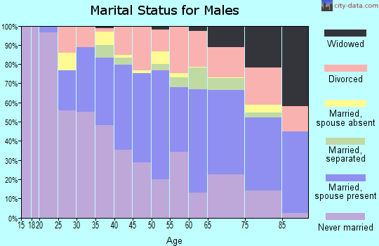Zip code 46312 marital status for males