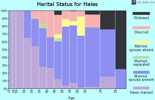 Zip code 46319 marital status for males