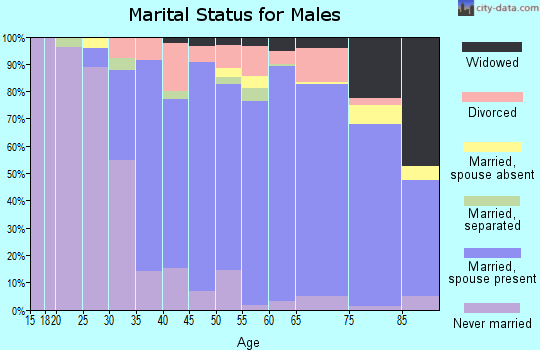 Zip code 46321 marital status for males