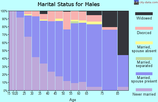 Zip code 46322 marital status for males