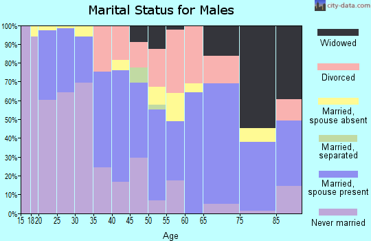 Zip code 46327 marital status for males