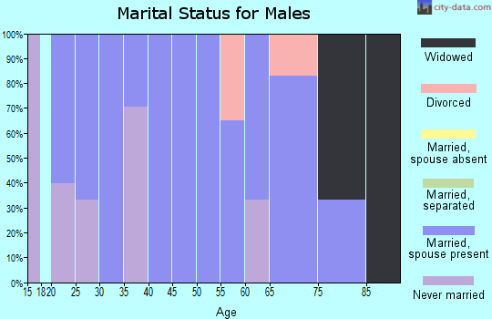 Zip code 46340 marital status for males