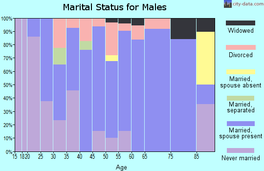 Zip code 46341 marital status for males