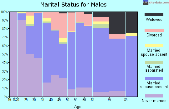 Zip code 46342 marital status for males