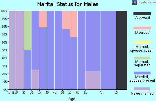 Zip code 46345 marital status for males