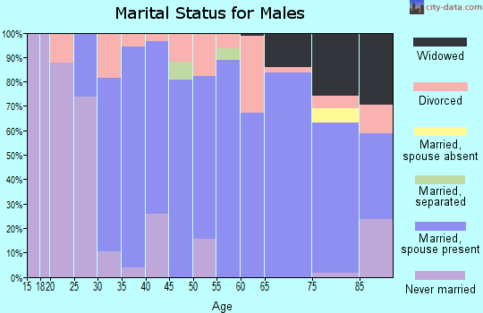 Zip code 46347 marital status for males