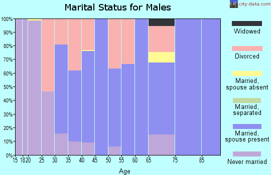 Zip code 46349 marital status for males