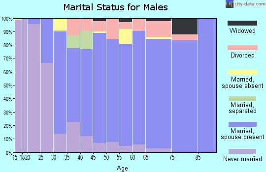 Zip code 46356 marital status for males