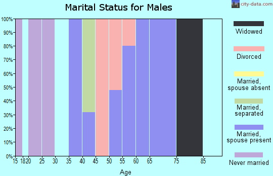Zip code 46365 marital status for males