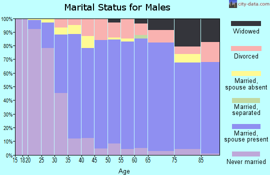 Zip code 46375 marital status for males