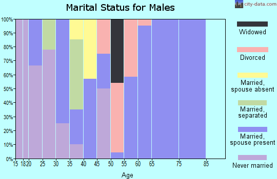 Zip code 46376 marital status for males