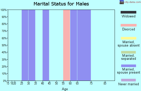 Zip code 46381 marital status for males