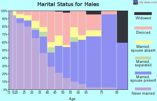 Zip code 46391 marital status for males