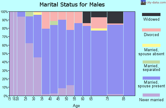 Zip code 46392 marital status for males