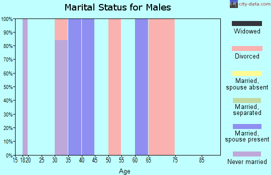 Zip code 46393 marital status for males
