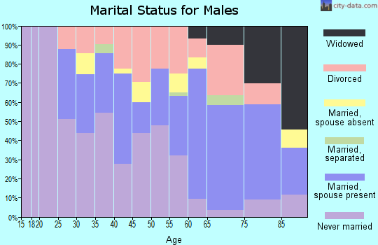 Zip code 46403 marital status for males