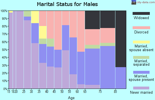Zip code 46406 marital status for males