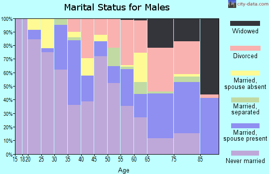 Zip code 46407 marital status for males