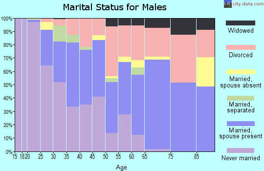 Zip code 46408 marital status for males