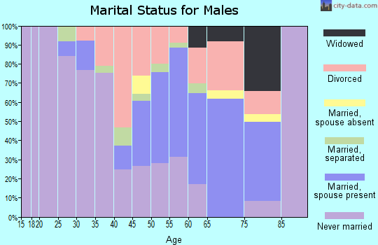 Zip code 46409 marital status for males
