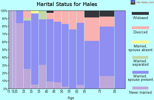 Zip code 46501 marital status for males